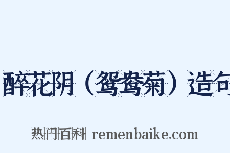 醉花阴（鸳鸯菊）造句是什么意思的图片